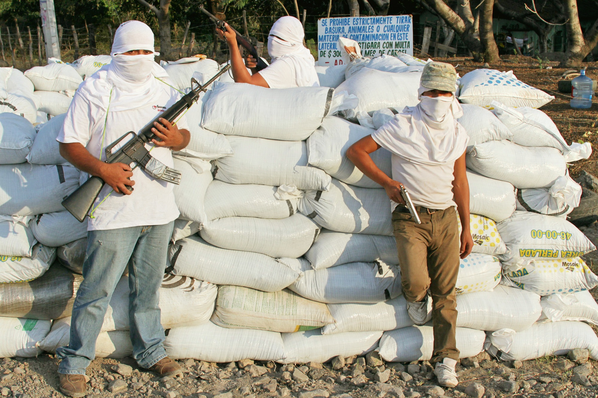 autodefensas nueva italia 1