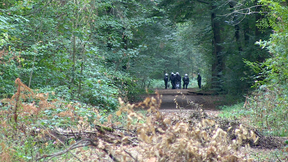 hambacherforst august2018 2