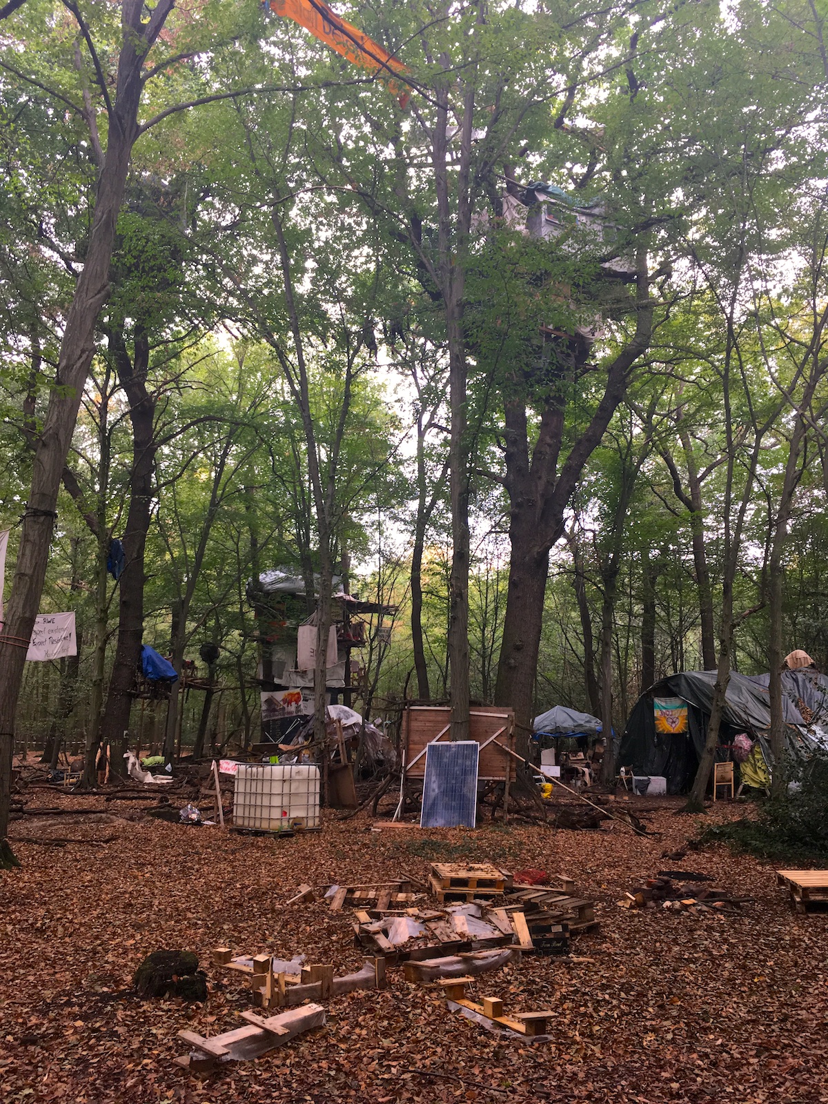 hambacherforst august 2018