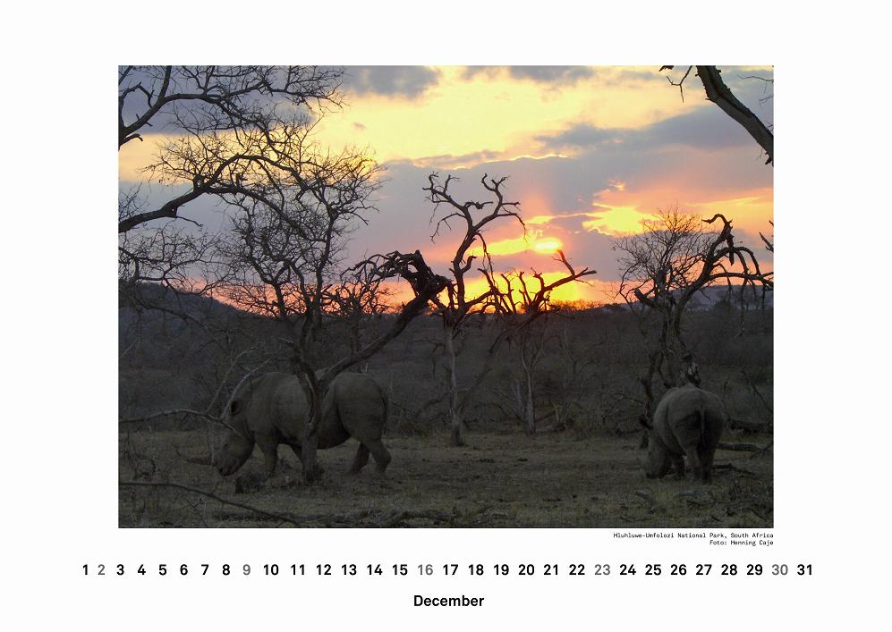 traveller calendar 2012 13kl