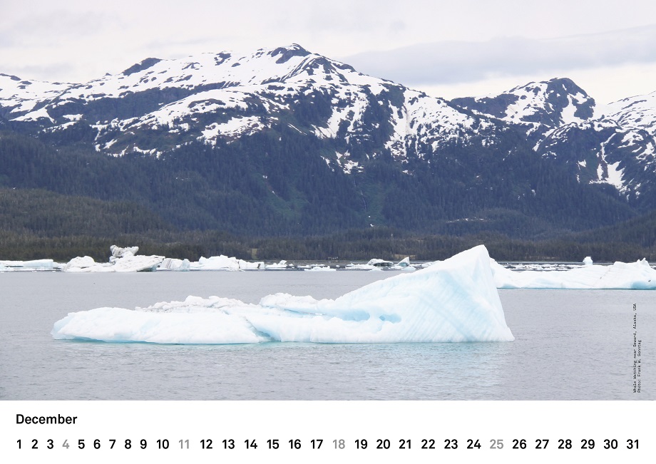 traveller calendar 2016 12 kl