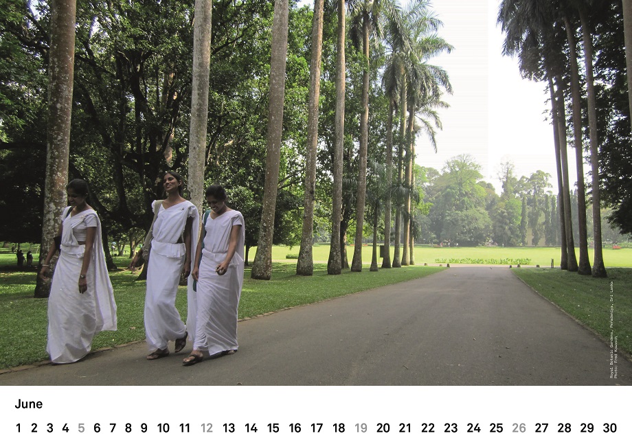 traveller calendar 2016 6 kl