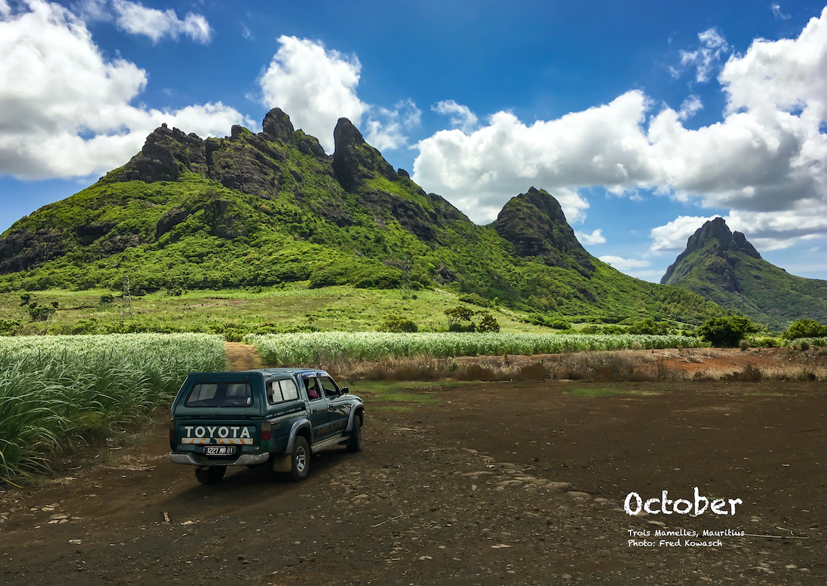 11b Hawaii